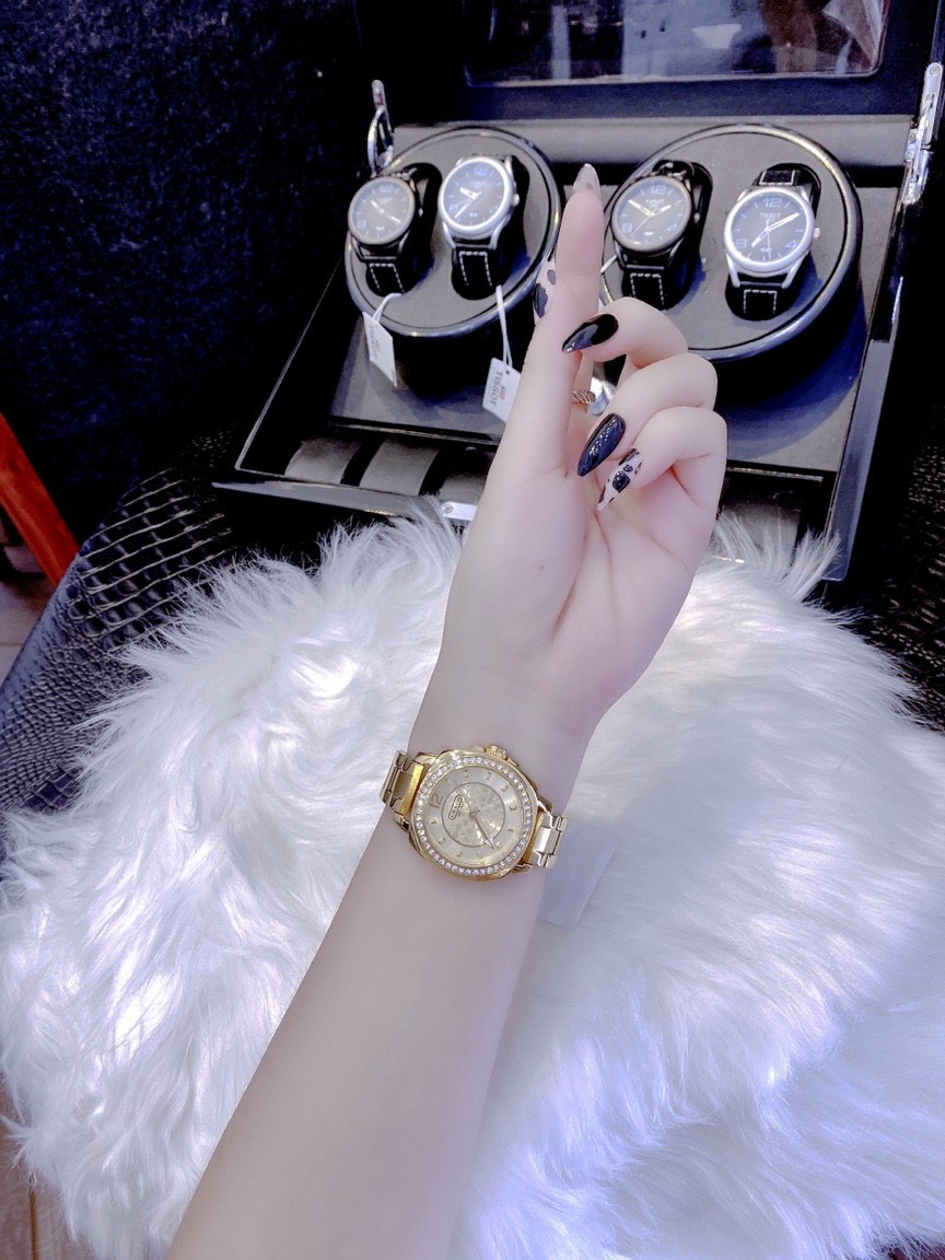 Đồng hồ Coach giá rẻ Đồng hồ Coach giá rẻ