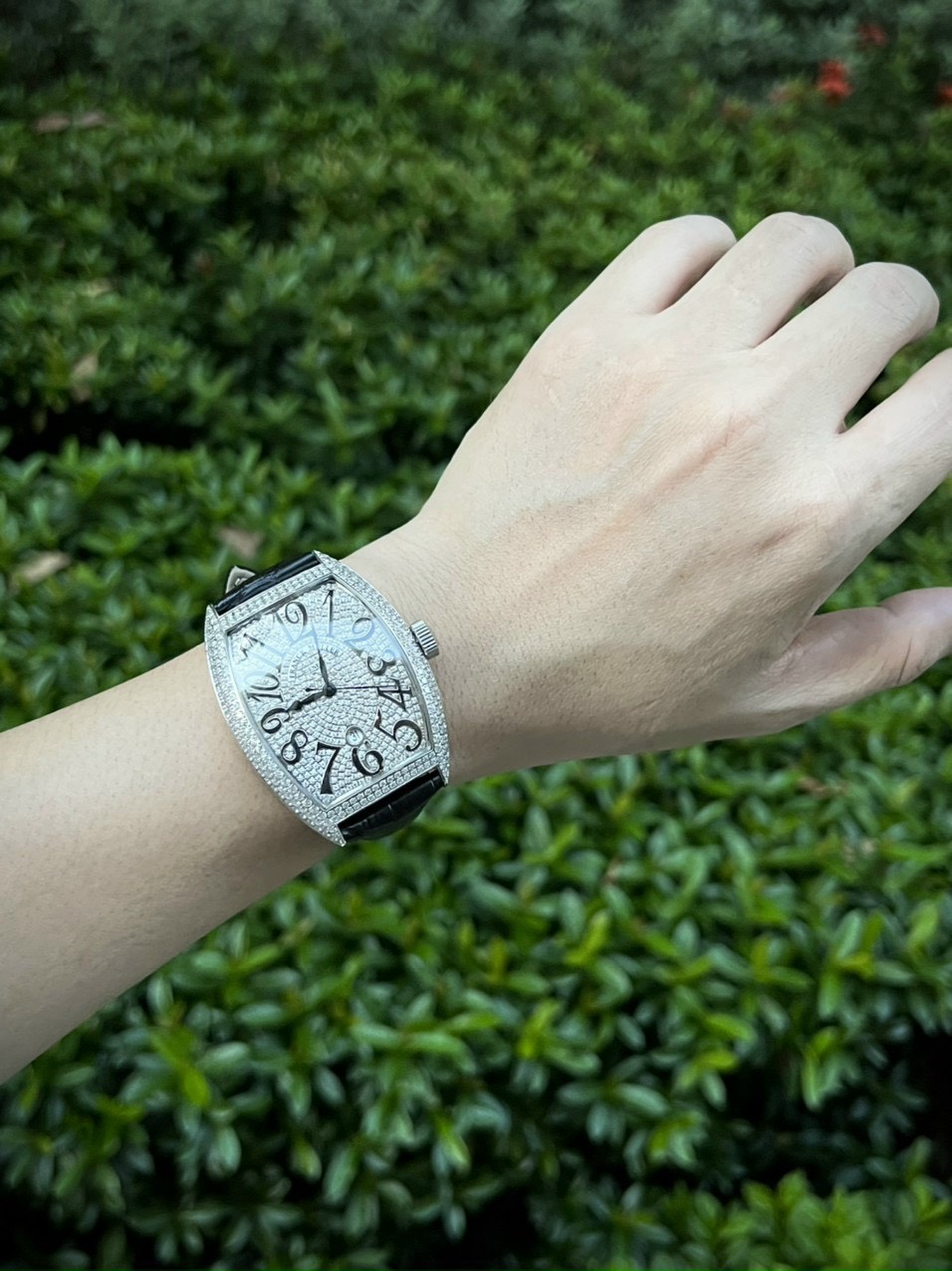 Đồng hồ Franck Muller fake thụy sỹ Đồng hồ Franck Muller fake thụy sỹ