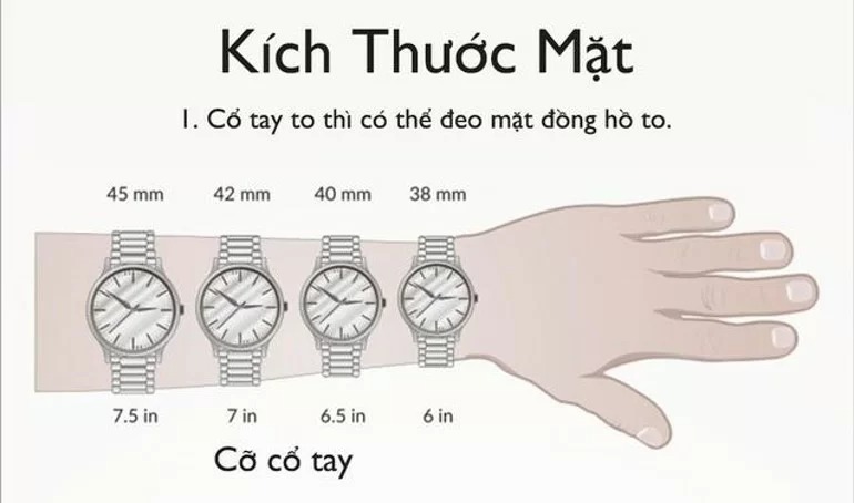 cổ tay 17cm đeo đồng hồ size bao nhiêu