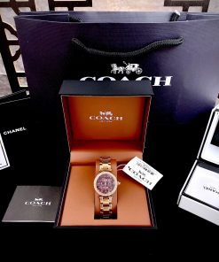 Đồng hồ Coach Park Mother Steel nữ đính đá Like Auth 26mm