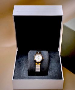 Đồng hồ Dior Nữ Máy Quarzt Nhật Cọc Số La Mã Kim Loại Demi Like Auth 22mm (1)