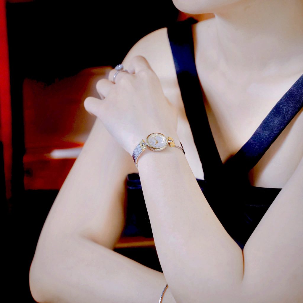 Đồng hồ Dior Nữ Máy Quarzt Nhật Cọc Số La Mã Kim Loại Demi Like Auth 22mm (1)